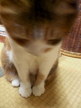 5f359f7a.jpg