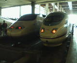 709e0eb7.jpg