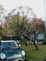 8f01c3b6.jpg
