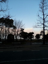 c597989f.jpg