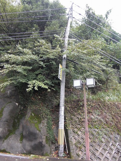 CIMG8130