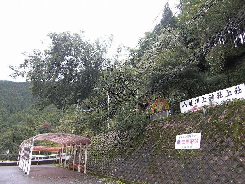 CIMG8128