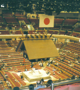 kokugikan-naibu