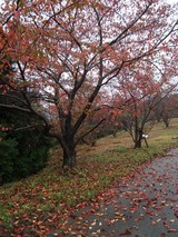 DSC09400