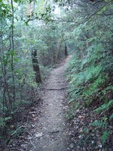 DSC09336