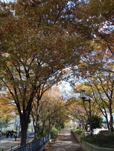 DSC00405