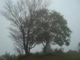 DSC09405