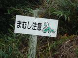 DSC09401