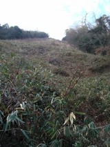 DSC00005-2