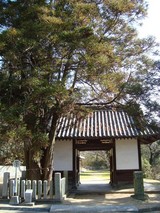 DSC00200-2