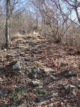 DSC00086-2