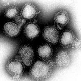 infuruenzakin