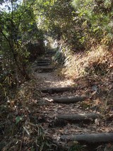 DSC00185-2