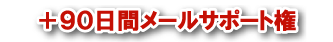 +90日間メールサポート権