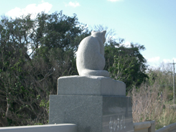 Iriomote02