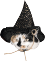 majoneko2