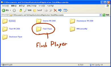 07flashP.gif