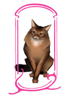 ���ޥ�