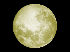 manngetu