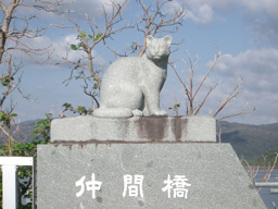 Iriomote03