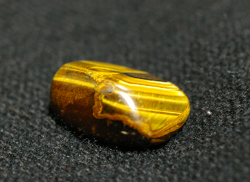 taiger