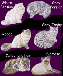 nekomagnet