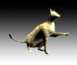 tora_side