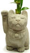 green bneko 