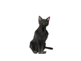 Kuro