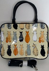 bag2