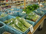 都市農家の野菜直販所1