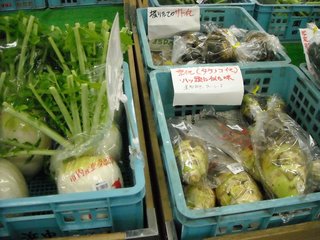 珍しい京野菜