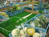 都市農家の野菜直販所2
