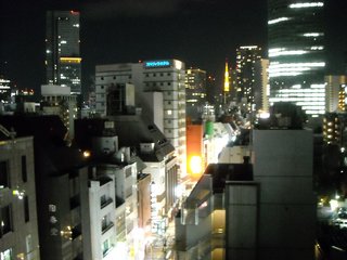 東京タワーを望む