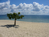 20061211_2.jpg
