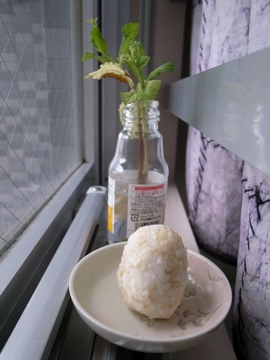 omusubi2