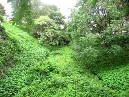 setodenn