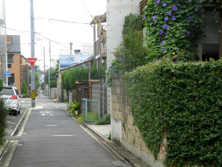 back alley