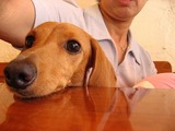 �椺����󣲡���ȡ�������
