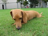 �ޤä���椺�����