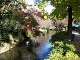 西川緑道