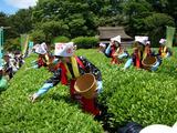 ��Ĥ�̼����