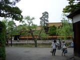 ���̱��� ͭ����ʤ椦��󤽤��ˤؤ� 2008.5.1