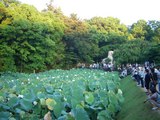 ��ϡ�ᡢ���դ��ӡʤ��褦�Τ����ˤ˽���!! 2008.7.20