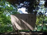 ����ʲ����ԡˤˤƱӤޤ줿�����Τ��ꡡ2008.7.20