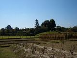 岡山後楽園の島立て風景