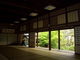 ͷ����ˤƿ��̱�ηƤ���ǽ�� 2008.5.1