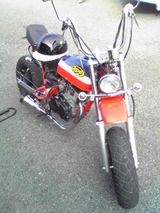 9485229e.jpg