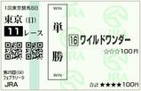 ���磻��ɥ����� �ե��֥�꡼S(2008ǯ)