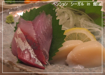 ¥Ú¥ó¥·¥ç¥ó¥·¡¼¥¬¥ë